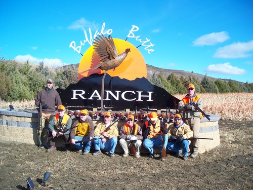 Pheasant Groups Photo