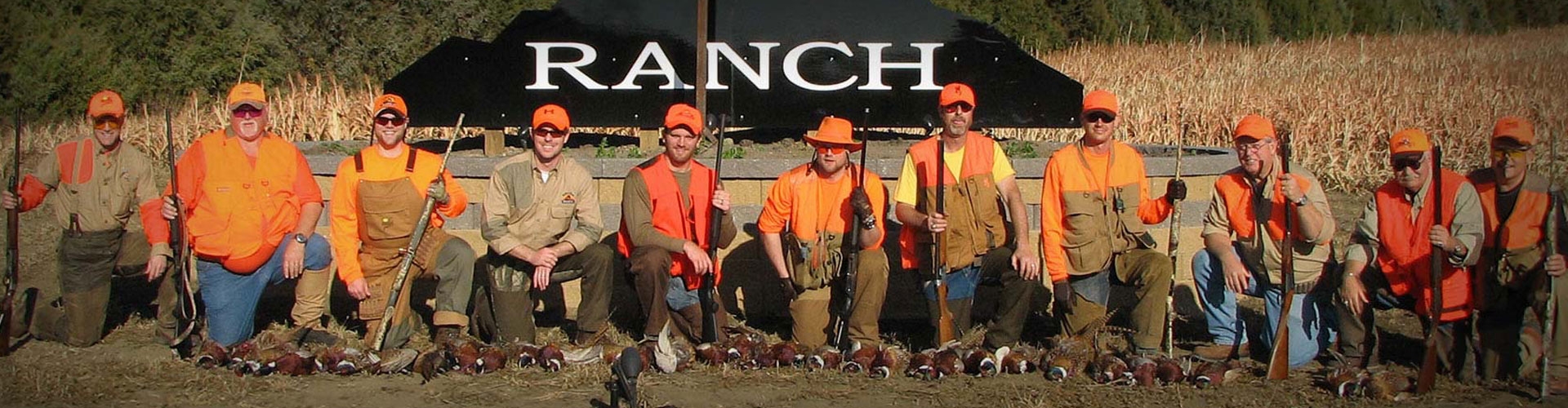 Testimonials & Customer Comments Testimonials & Customer Comments